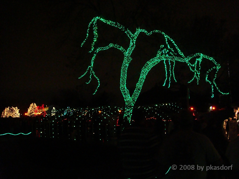 094 Toledo Zoo Light Show [2008 Dec 27].JPG - Scenes from the Toledo Zoo Light Show.